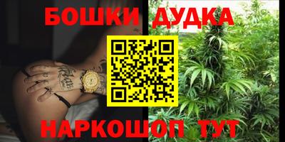 молекула духа Бердск