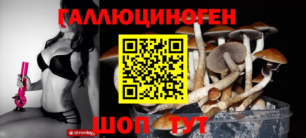 Галлюциногенные грибы Psilocybine cubensis  Псилоцибиновые грибы Magic Shrooms  Вход с VPN  купить  сайты  Осинники 